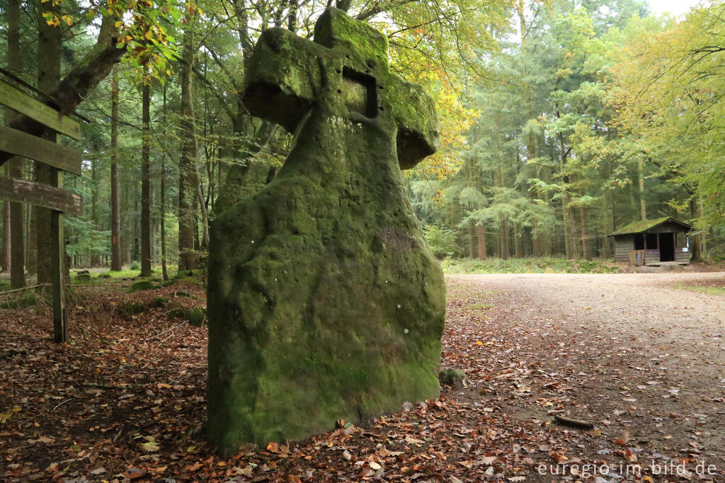 Detailansicht von Fraubillenkreuz auf dem Ferschweiler Plateau, Südeifel