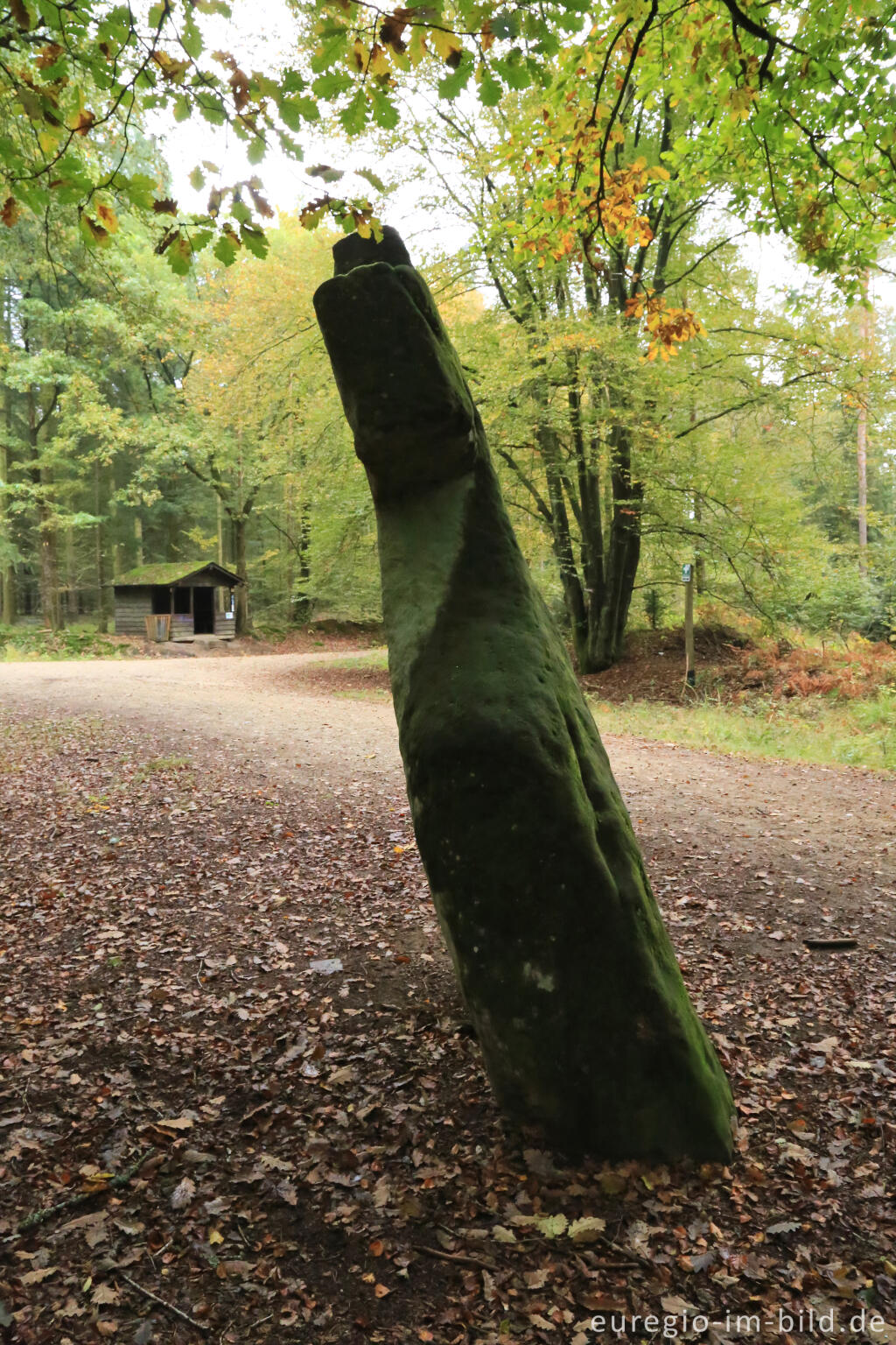 Detailansicht von Fraubillenkreuz auf dem Ferschweiler Plateau, Südeifel