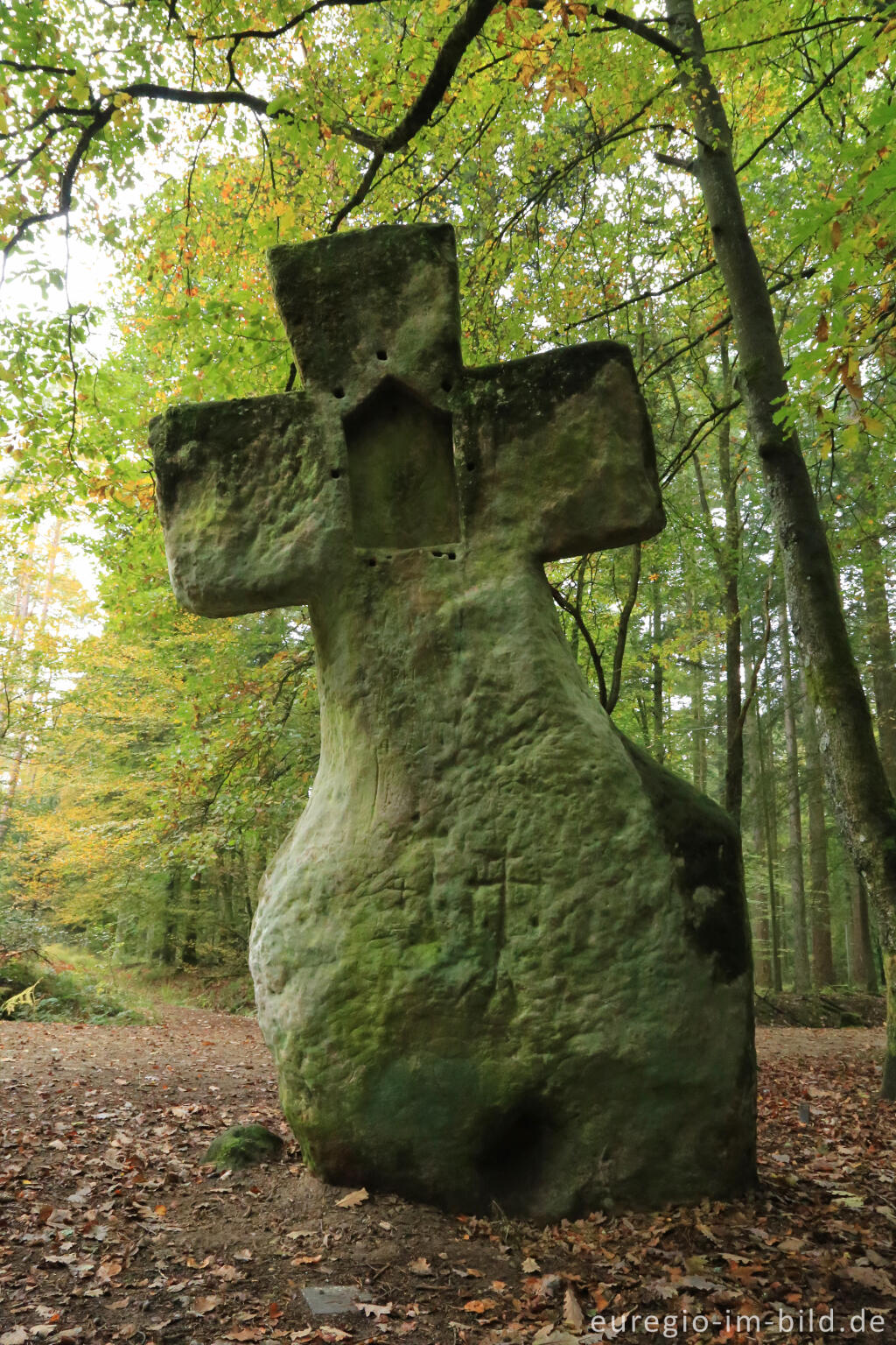 Detailansicht von Fraubillenkreuz auf dem Ferschweiler Plateau, Südeifel