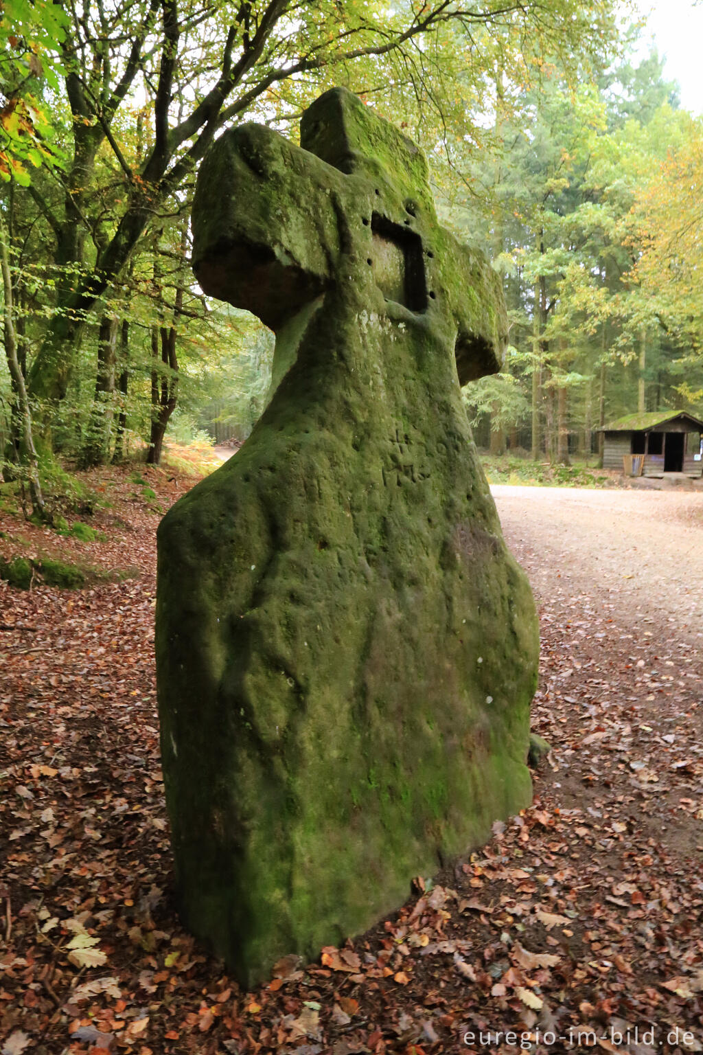 Detailansicht von Fraubillenkreuz auf dem Ferschweiler Plateau, Südeifel