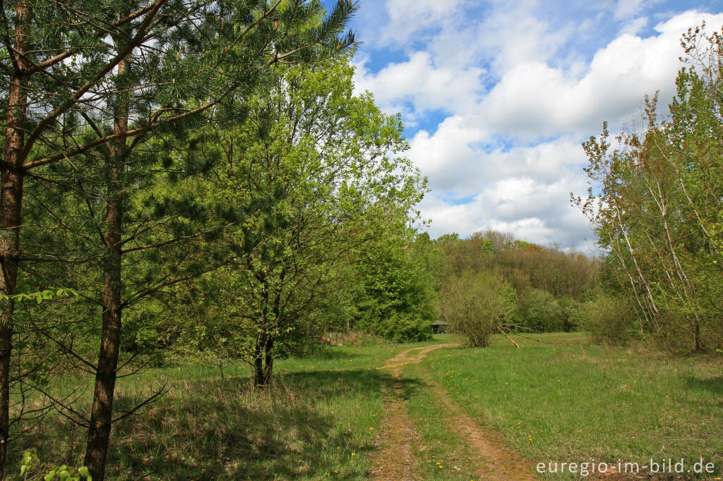 Detailansicht von Freizeitgelände Walheim