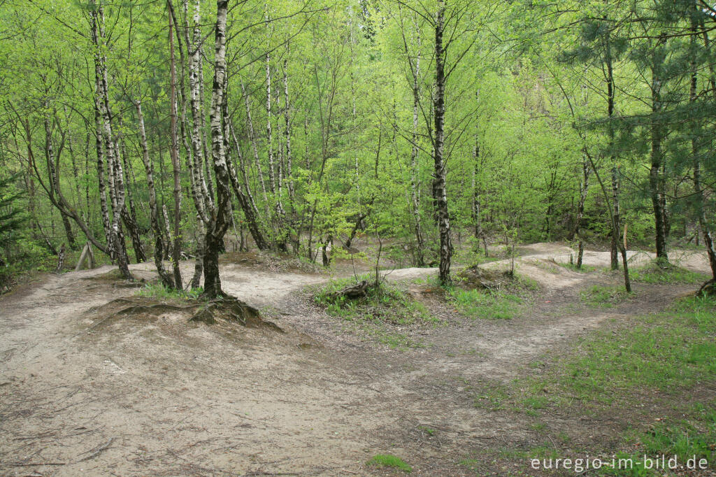 Detailansicht von Freizeitgelände Walheim