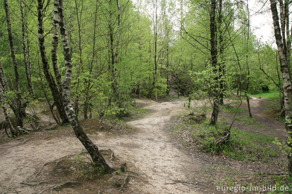 Detailansicht von Freizeitgelände Walheim