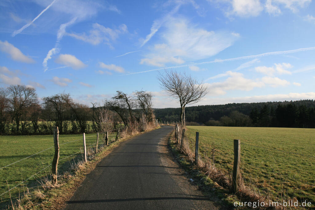 Detailansicht von Friesenrath, Hundertsweg