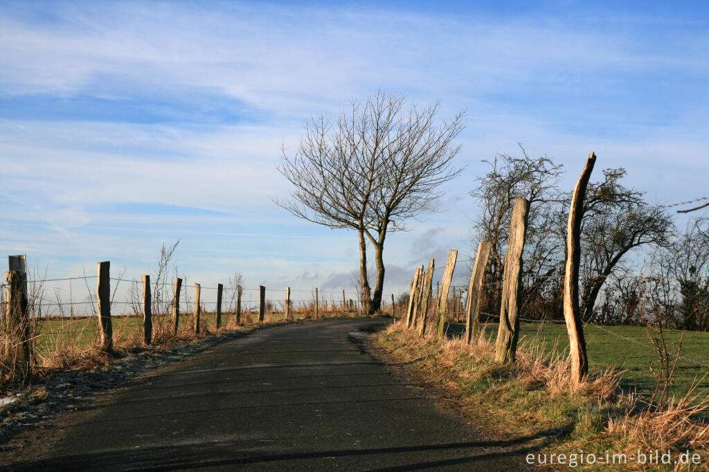 Detailansicht von Friesenrath, Hundertsweg