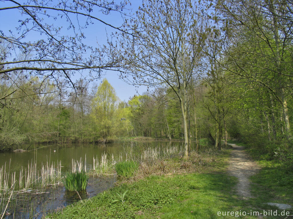 Detailansicht von Frühling am Cranenweyer