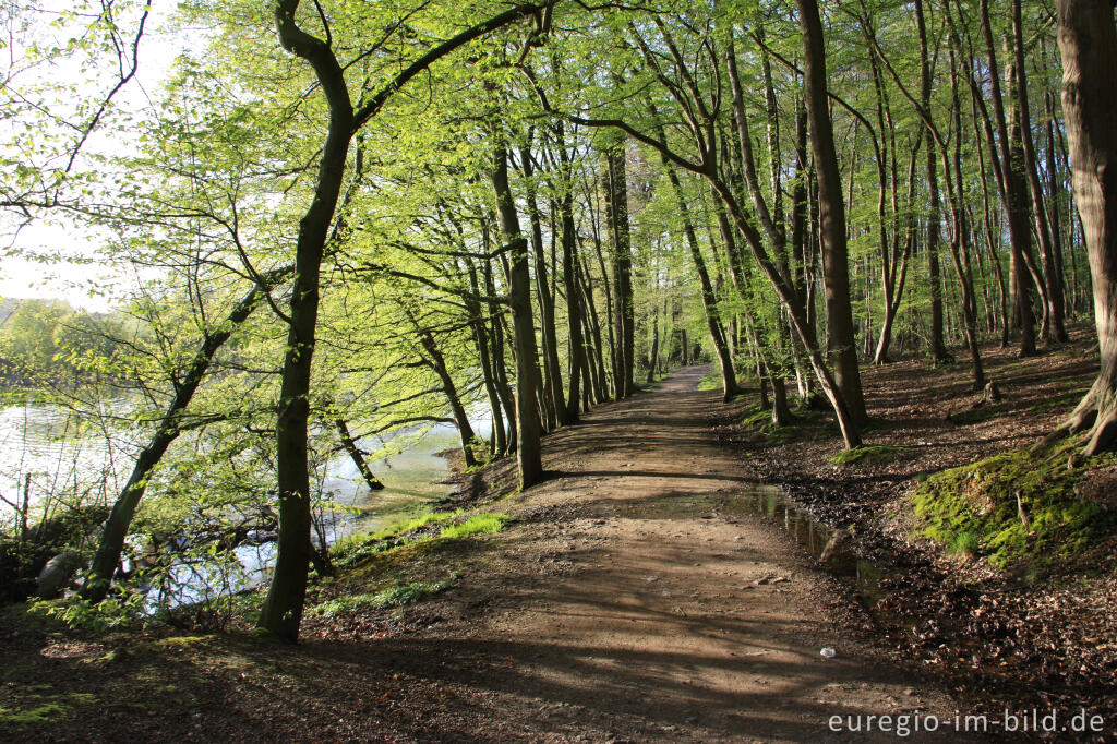 Frühling am Cranenweyer bei Kerkrade, NL