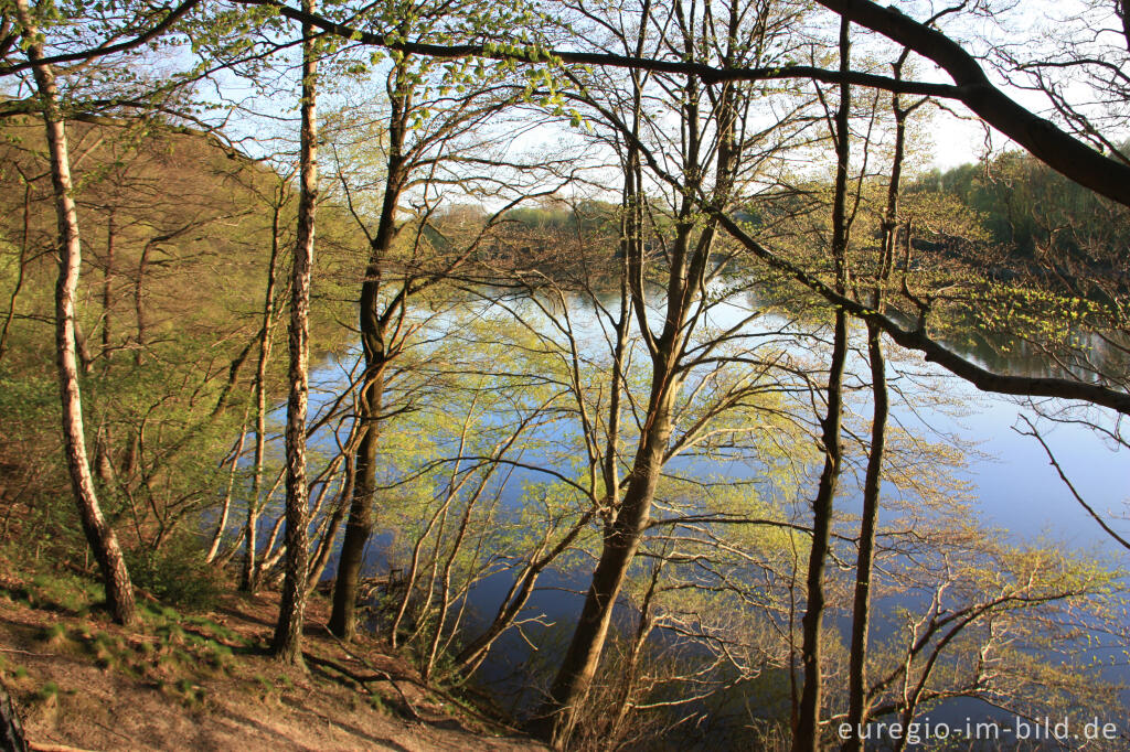 Detailansicht von Frühling am Cranenweyer bei Kerkrade, NL