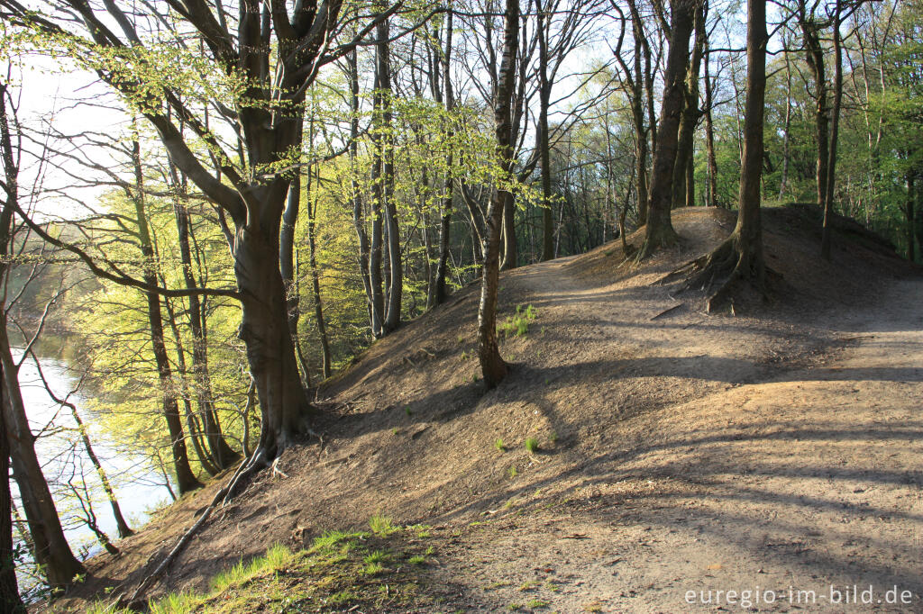 Detailansicht von Frühling am Cranenweyer bei Kerkrade, NL