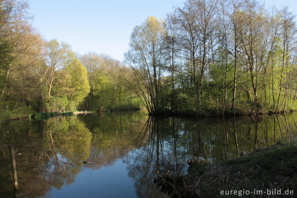 Frühling am Cranenweyer bei Kerkrade, NL