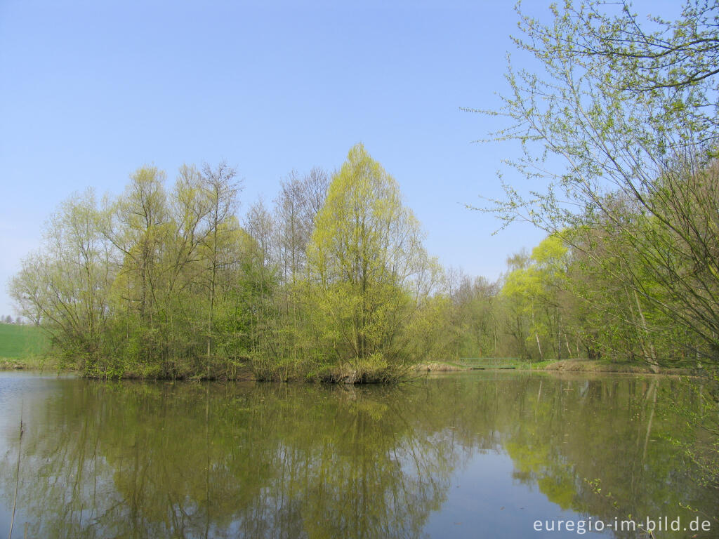 Detailansicht von Frühling am Cranenweyer