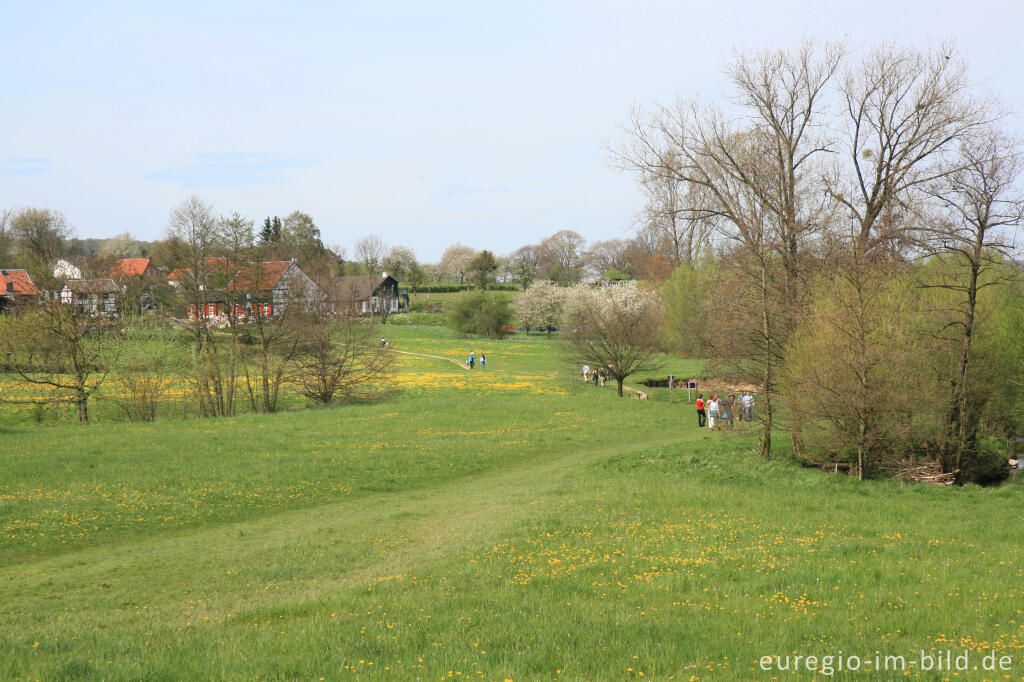 Detailansicht von Frühling im Geultal Blick auf Epen