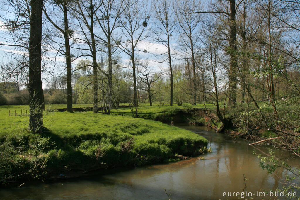 Detailansicht von Frühling im Geultal südlich von Epen