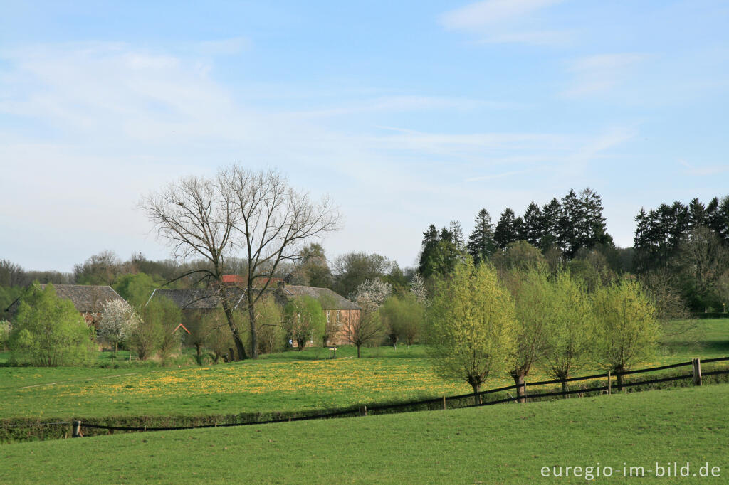 Detailansicht von Frühling im Geultal südlich von Epen