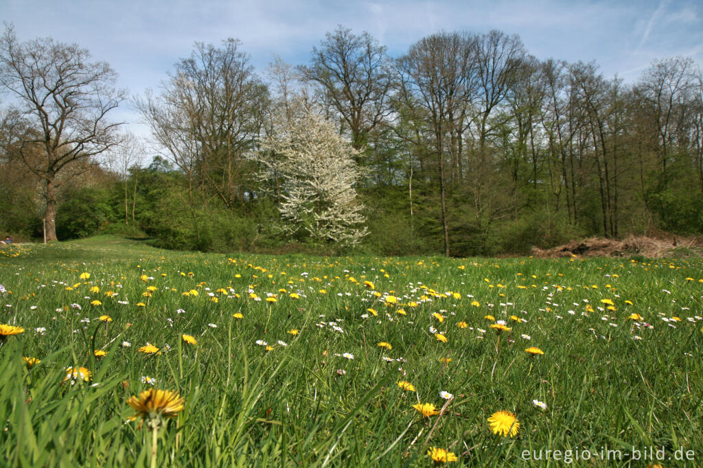 Detailansicht von Frühling im Geultal südlich von Epen