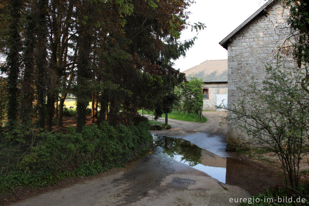 Detailansicht von Furt in Raeren, B.