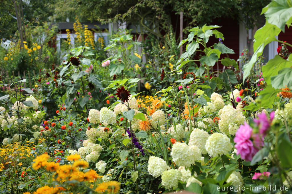 Detailansicht von Garten bei den Weingartener Höfen