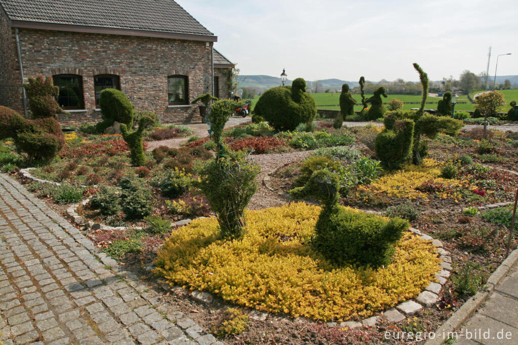 Detailansicht von Garten mit figurativ geschnittenen Büschen in Harles, NL