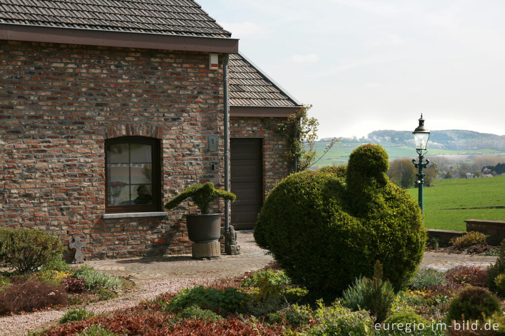 Detailansicht von Garten mit figurativ geschnittenen Büschen in Harles, NL