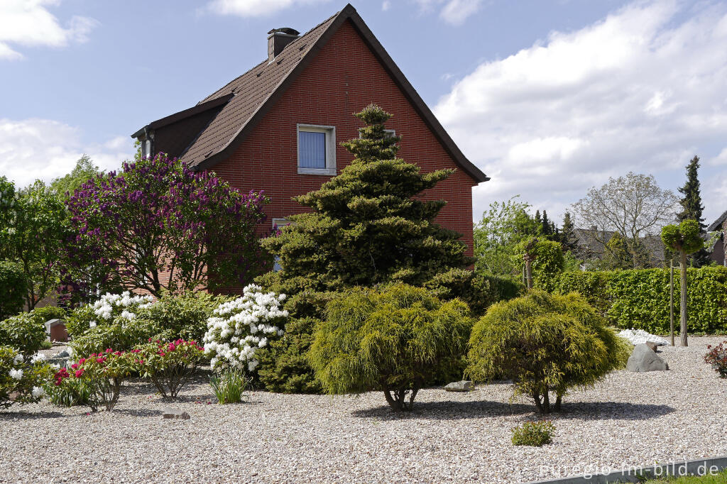 Detailansicht von Gartengestaltung mit Kies und immergrünen Büschen