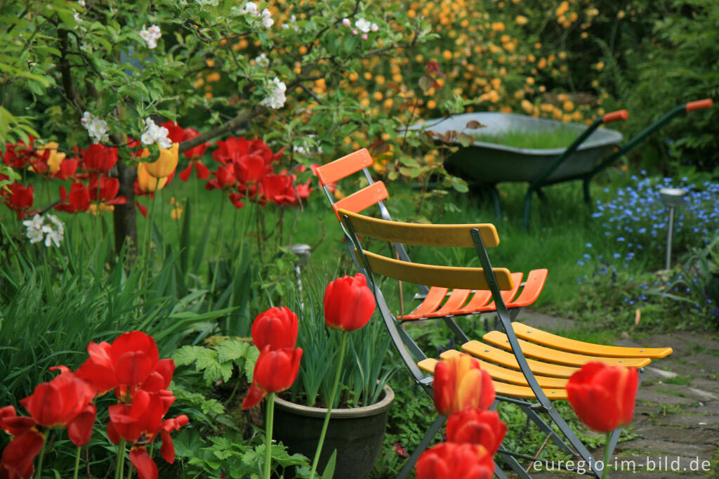 Gartenstillleben, Frühling