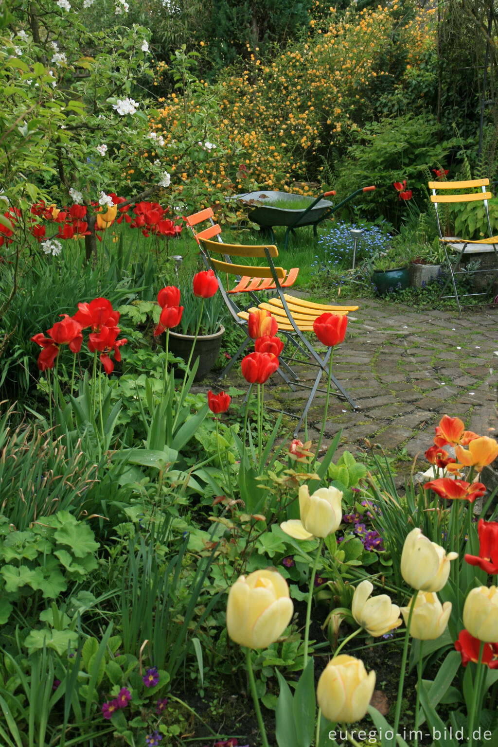 Detailansicht von Gartenstillleben, Frühling