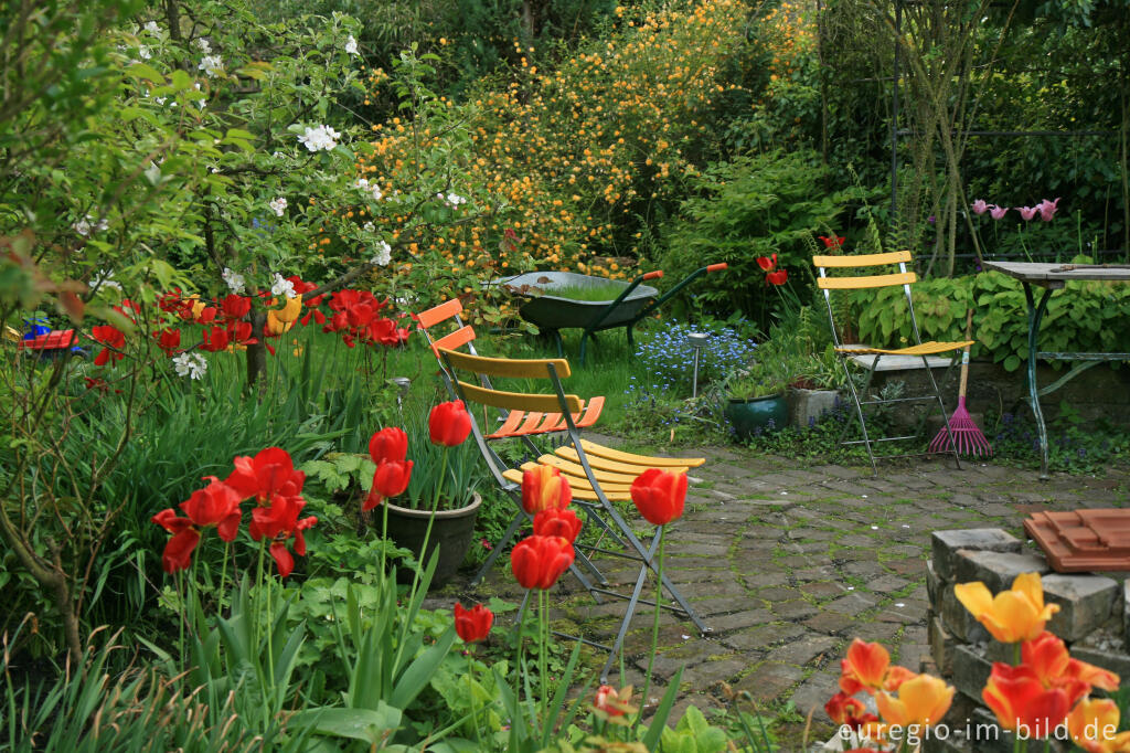 Detailansicht von Gartenstillleben, Frühling