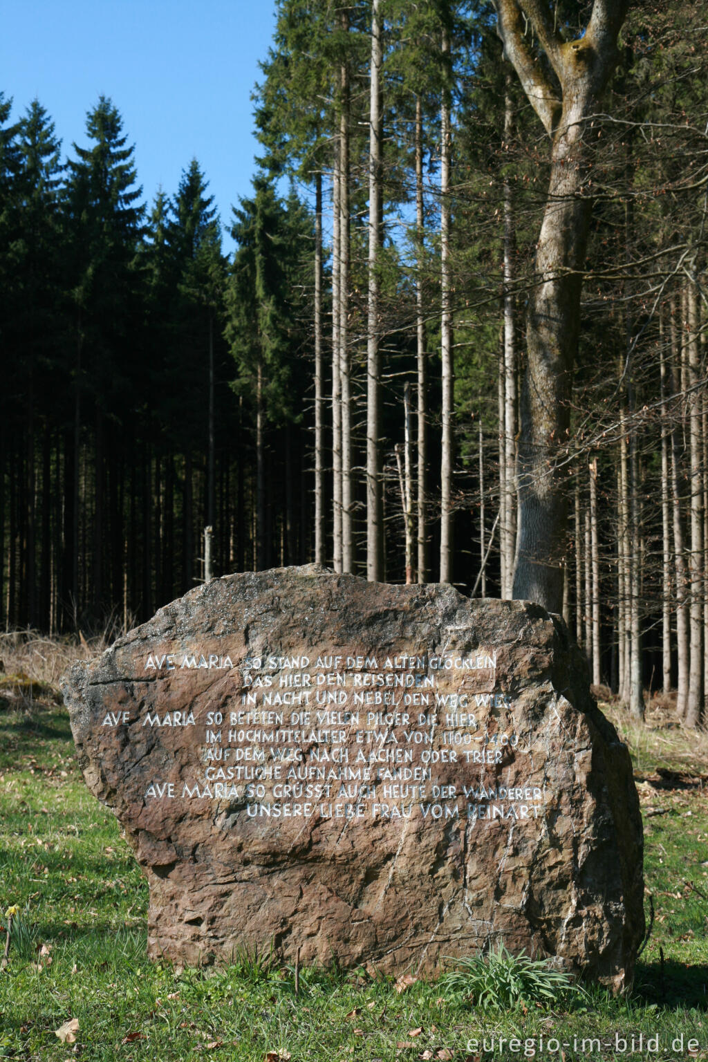 Detailansicht von Gedenkstätte Reinartzhof im Osthertogenwald