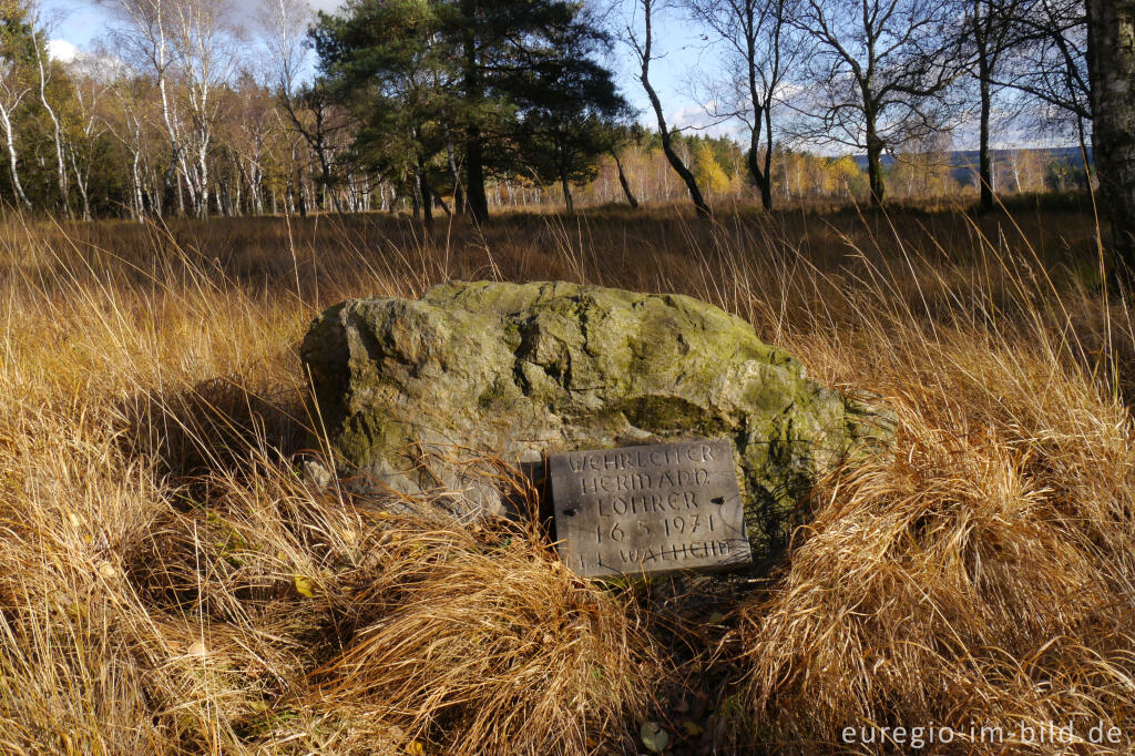 Detailansicht von Gedenkstein auf dem Struffelt