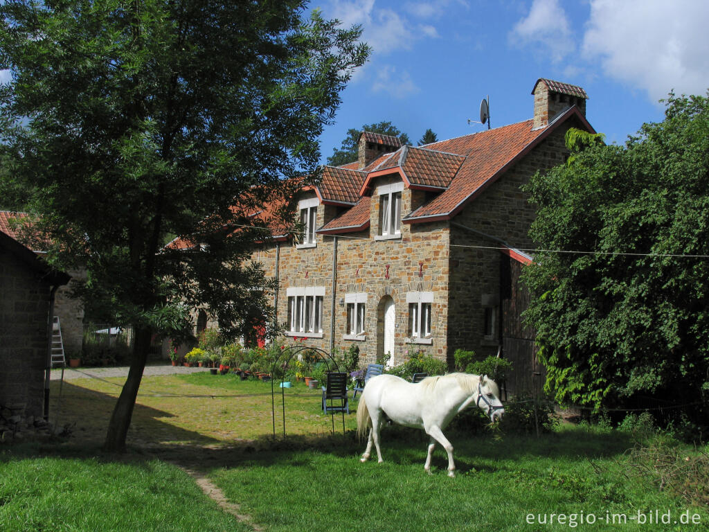 Detailansicht von Gehöft am Chemin de Gensterhof bei Plombières