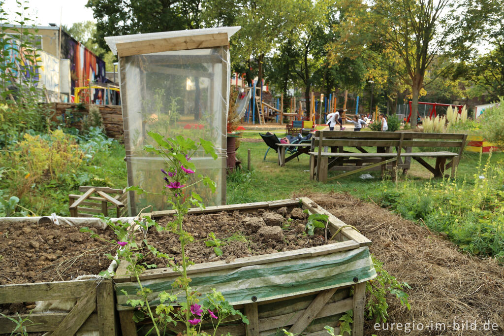 Detailansicht von Gemeinschaftsgarten HirschGrün (Suermondt-Park), Aachen 2016