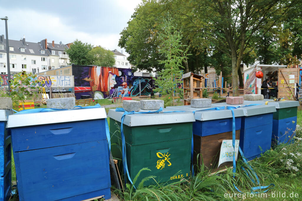 Detailansicht von Gemeinschaftsgarten HirschGrün (Suermondt-Park), Aachen 2016