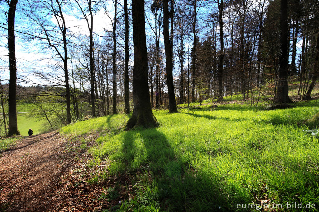 Detailansicht von Gerolsteiner Felsenpfad auf dem Kasselburger Hahn