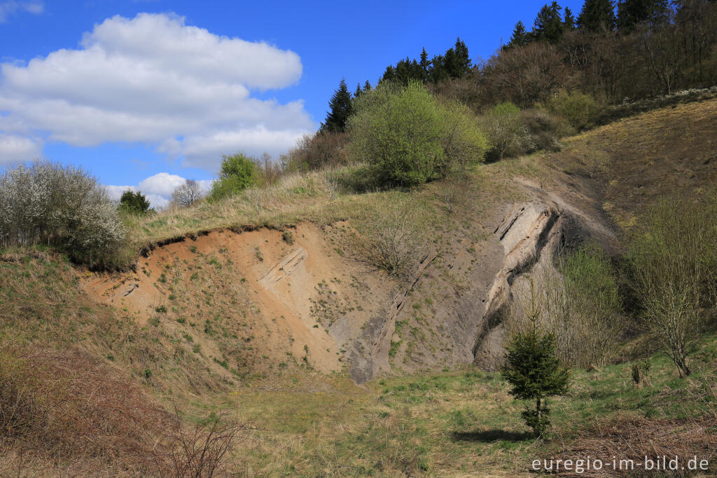 Detailansicht von Gerolsteiner Felsenpfad