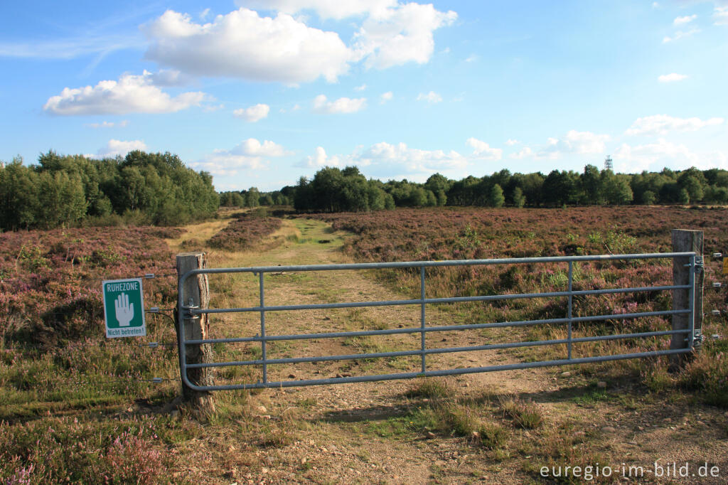 Detailansicht von Gesperrter Bereich in der Drover Heide