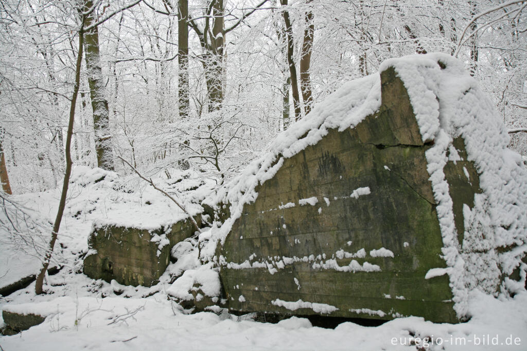 Detailansicht von Gesprengte Bunker im Wurmtal bei Würselen-Pley