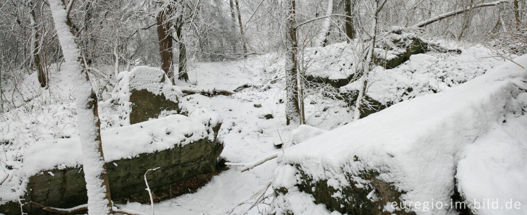 Detailansicht von Gesprengte Bunker im Wurmtal bei Würselen-Pley