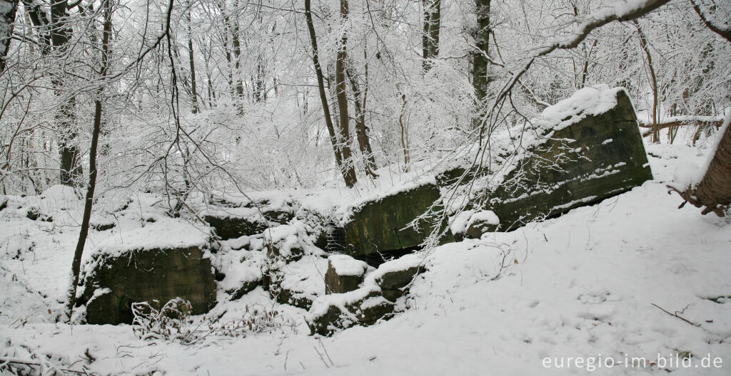 Detailansicht von Gesprengte Bunker im Wurmtal bei Würselen-Pley