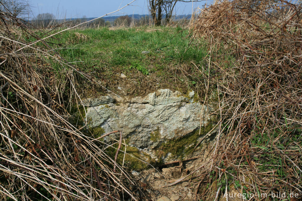 Detailansicht von Gesprengter Bunker des Westwalls bei Simmerath