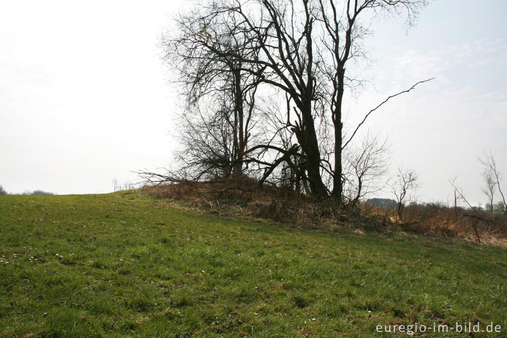 Detailansicht von Gesprengter Bunker des Westwalls bei Simmerath