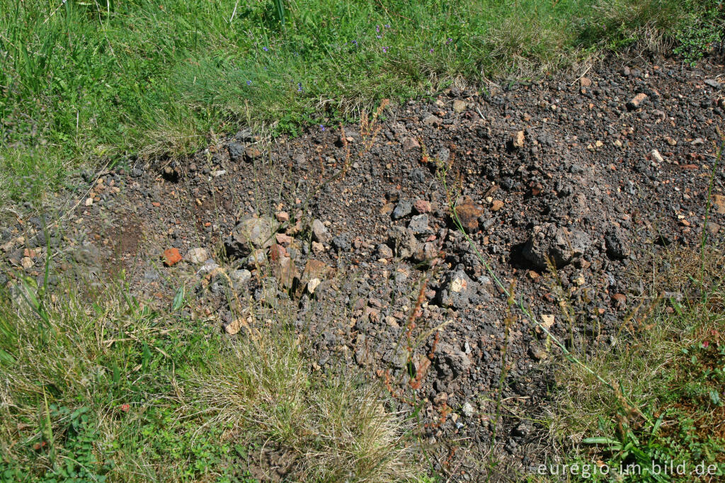 Detailansicht von Gestein beim Schlangenberg, Breinigerheide, Nordeifel