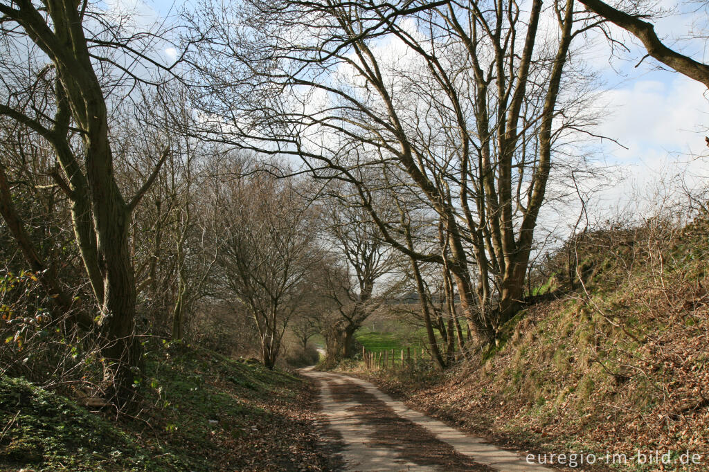 Detailansicht von Geuchter Weg im Herzogenrath, Teil des Pferdelandparks