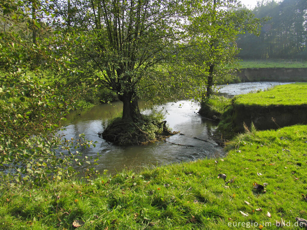 Detailansicht von  Geul zwischen Cottessen und Epen