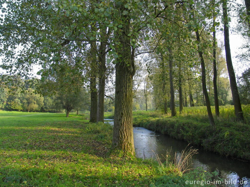 Detailansicht von  Geul zwischen Cottessen und Epen