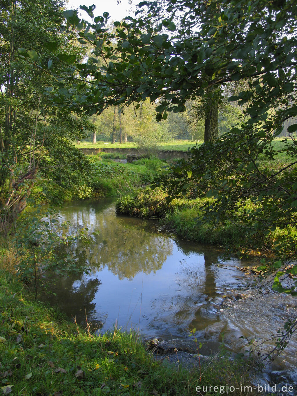 Detailansicht von Geul zwischen Cottessen und Epen