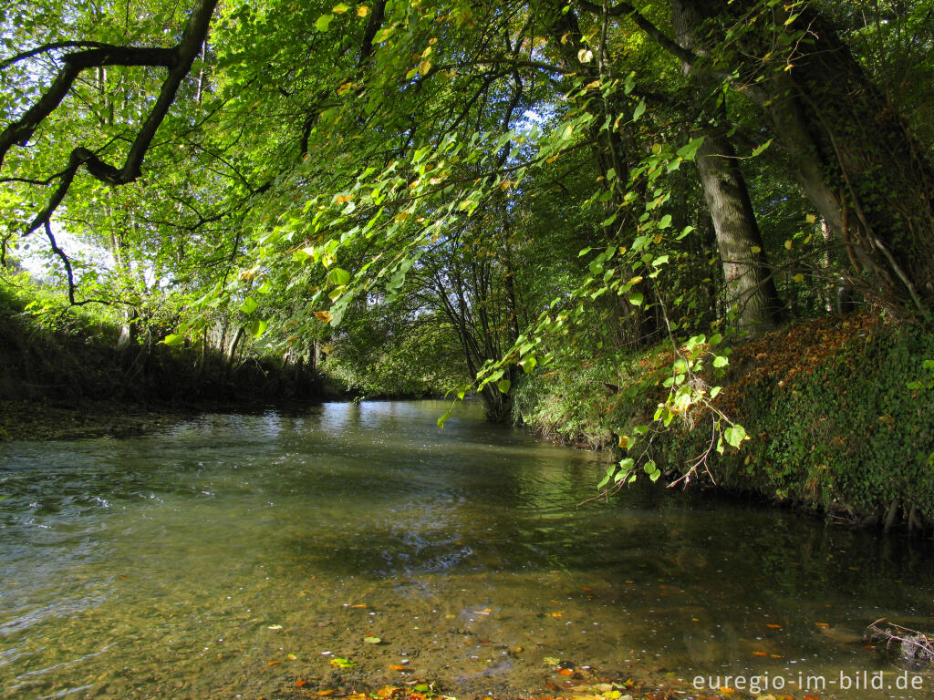 Detailansicht von Geul zwischen Schin op Geul und Valkenburg