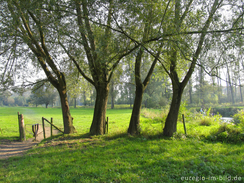 Detailansicht von  Geultal zwischen Cottessen und Epen