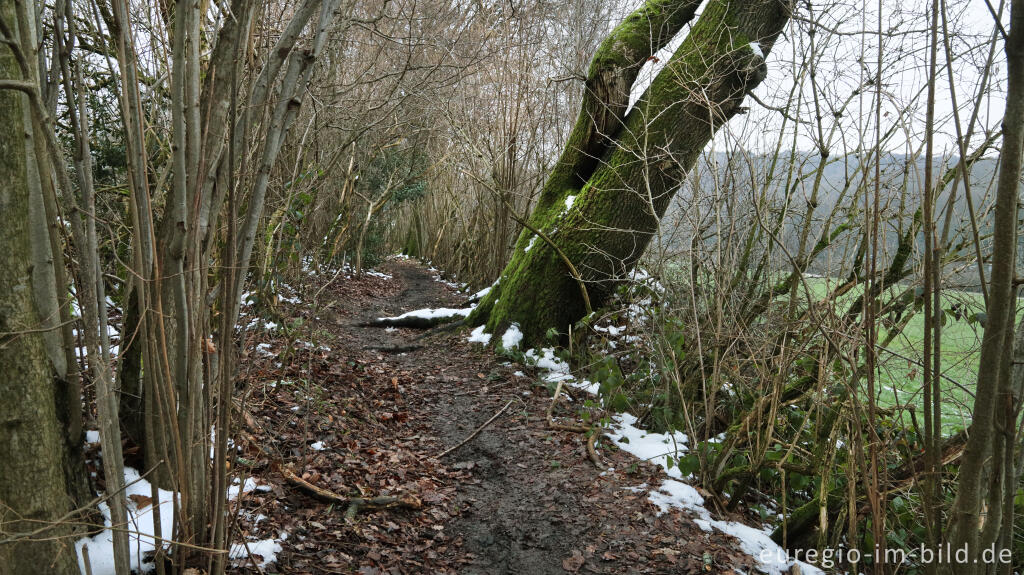 Detailansicht von Geusenweg, Aachen, Dreiländereck