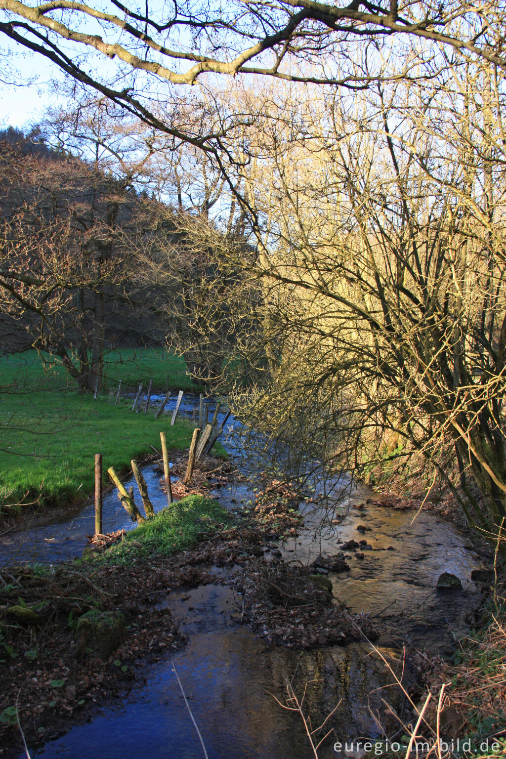 Detailansicht von Gillesbach in der Nähe der Hallenthaler Mühle