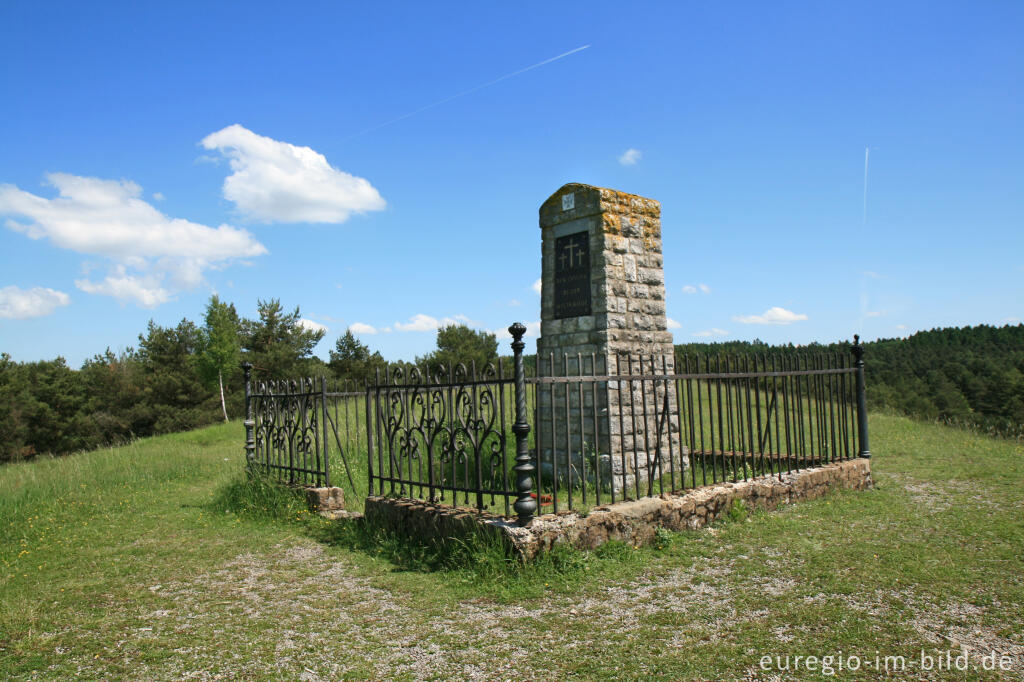 Detailansicht von Gipfel des Schlangenbergs, Breinigerheide, Nordeifel